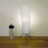 Warms – Image 2